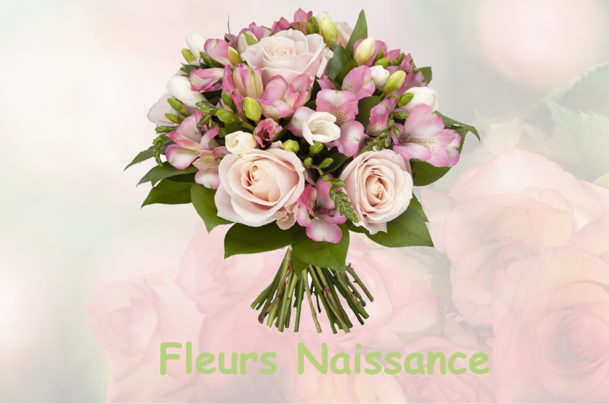 fleurs naissance LESPITEAU