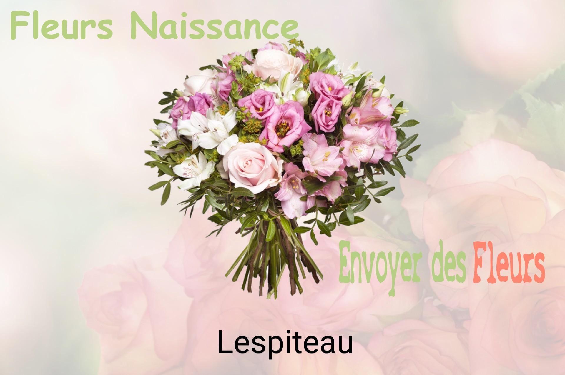 Bouquet de fleurs de naissance livré à Lespiteau