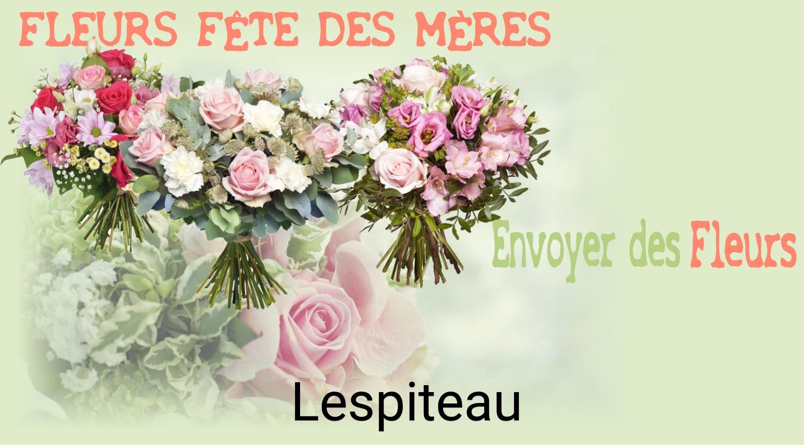 Bouquet de Fête des Mères livré à Lespiteau